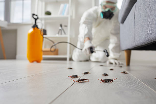 Commercial Kitchen Cockroach Control in Onsted